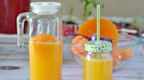 Fresh Squeezed Orange Juice Homemade Orangeade Recipe Fresh Squeezed Orange Juice Homemade Orangeade Recipe