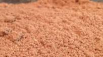Homemade Weight Gainer Protein Powder Homemade Weight Gainer Protein Powder