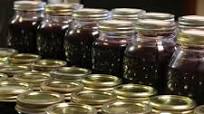 Wild Mustang Grape Jelly Wild Mustang Grape Jelly
