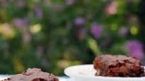 Very Fudgy Chocolate Chip Brownies Very Fudgy Chocolate Chip Brownies
