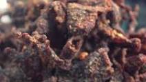 Bourbon Peppered Beef Jerkey Bourbon Peppered Beef Jerkey