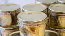 Canning Fish Canning Fish