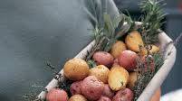 Roasted New Potatoes Roasted New Potatoes