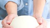 72 Hour Pizza Dough from Baking Steel 72 Hour Pizza Dough from Baking Steel