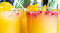Orange Gin and Tonic Orange Gin and Tonic