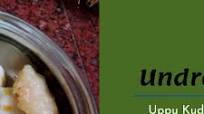 Undrallu | Kudumulu | Vinayaka Chavithi Recipe Undrallu | Kudumulu | Vinayaka Chavithi Recipe