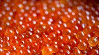 Curing Salmon Roe Curing Salmon Roe