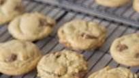 Famous Chocolate chip cookies Famous Chocolate chip cookies