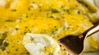 Chicken {in White Sauce} Enchiladas Chicken {in White Sauce} Enchiladas
