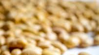 Creamy Refried Peruano Beans Creamy Refried Peruano Beans