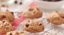 Quick Chocolate Chip Cookie Mix Quick Chocolate Chip Cookie Mix