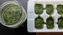 DIY Cilantro Ice Cubes DIY Cilantro Ice Cubes