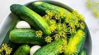 Sour Pickles Recipe Sour Pickles Recipe