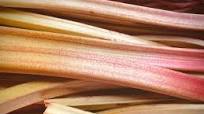 How to Make Rhubarb Juice How to Make Rhubarb Juice