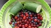 Berry Apple Juice Recipe Berry Apple Juice Recipe