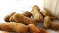 Classic Boiled Peanuts Classic Boiled Peanuts