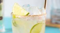 St. Germain Elderflower Margarita St. Germain Elderflower Margarita