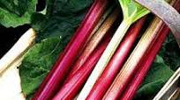 Roast pork chops with rhubarb sauce & sage butter. Roast pork chops with rhubarb sauce & sage butter.