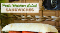 Pesto Chicken Salad Sandwiches