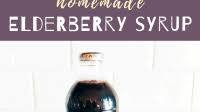 Elderberry Syrup Recipe Elderberry Syrup Recipe