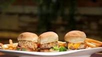 Alligator Sliders Alligator Sliders