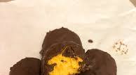 Healthy Pumpkin-Spice Truffles Are the Ideal Bite-Size Snack For Fall Healthy Pumpkin-Spice Truffles Are the Ideal Bite-Size Snack For Fall