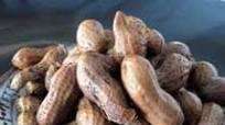 Boiled Peanuts Featuring Ono Hawaiian Seasoning Boiled Peanuts Featuring Ono Hawaiian Seasoning