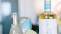 Virgin Margarita on the Rocks Recipe Virgin Margarita on the Rocks Recipe
