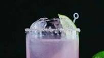 Hibiscus Margarita Hibiscus Margarita