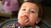 13 Finger Food Recipes for Your Baby or Toddler to Move Past Purees 13 Finger Food Recipes for Your Baby or Toddler to Move Past Purees