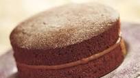 Chocolate Victoria Sponge Cake Chocolate Victoria Sponge Cake