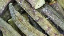 Roasted Air Fryer Frozen Okra Roasted Air Fryer Frozen Okra