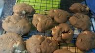 Chocolate Chip Marshmallow Cookies Chocolate Chip Marshmallow Cookies