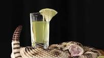 Snake Bite Shot - Academia and Debauchery Snake Bite Shot - Academia and Debauchery