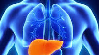 Liver Cleanse Recipe Liver Cleanse Recipe