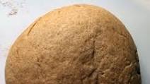 Whole Wheat Pizza Dough Whole Wheat Pizza Dough