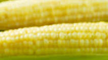 Instant Pot Corn on the Cob Instant Pot Corn on the Cob