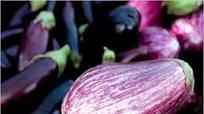 Roasted Eggplant Roasted Eggplant