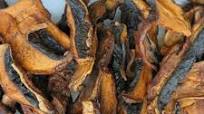 Mushroom Jerky on the Nesco Snackmaster Pro Mushroom Jerky on the Nesco Snackmaster Pro