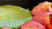 Prickly Pear Juice Recipe (Cactus Fruit) Prickly Pear Juice Recipe (Cactus Fruit)