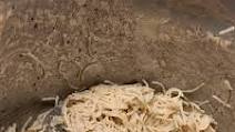 Instant Pot® Angel Hair Alfredo Pasta Instant Pot® Angel Hair Alfredo Pasta