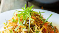 Cantonese Pan Fried Noodles (Pork Lo Mein) Cantonese Pan Fried Noodles (Pork Lo Mein)