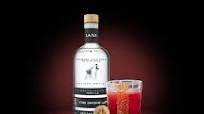 Spicy Blood Orange Margarita Spicy Blood Orange Margarita