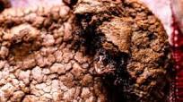 Brownie Cookies Brownie Cookies
