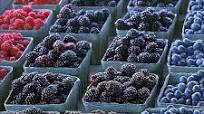Frozen Berries with Hot White Chocolate Frozen Berries with Hot White Chocolate