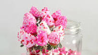 Frozen Yogurt Strawberries Frozen Yogurt Strawberries