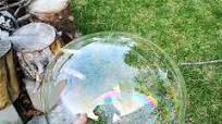 Bubbles Bubbles