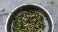 Harvested chickpea greens for making chane ka saag Harvested chickpea greens for making chane ka saag