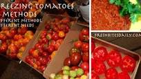 Freezing Tomatoes Freezing Tomatoes