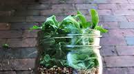Mediterranean Mason Jar Salad with Tahini Yogurt Dressing Mediterranean Mason Jar Salad with Tahini Yogurt Dressing